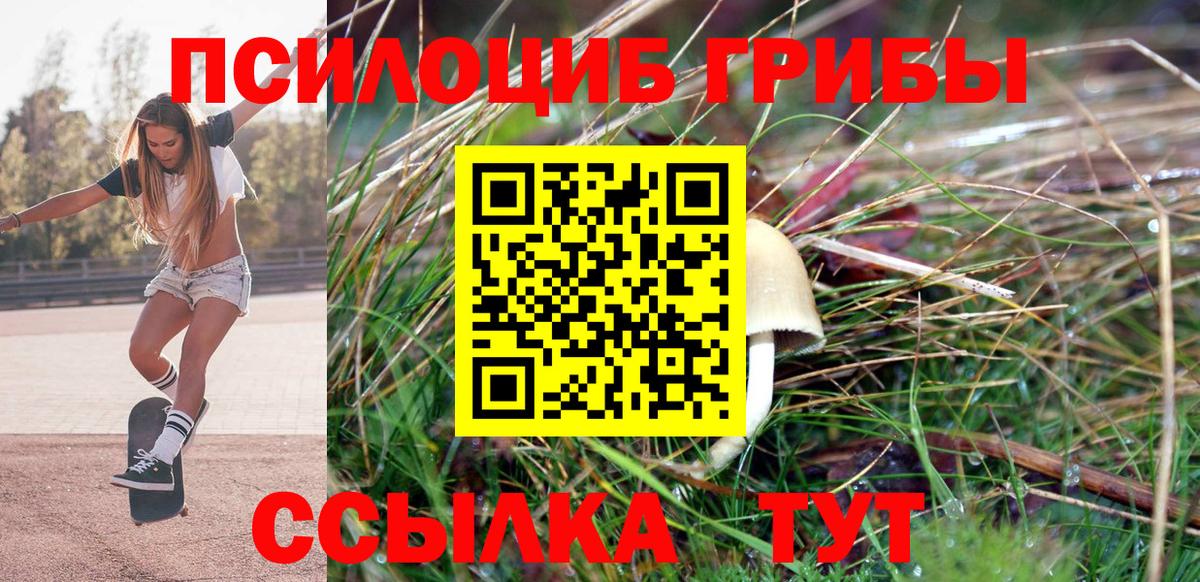 Псилоцибиновые грибы прущие грибы  Вход с VPN  Кулебаки 